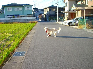 ナニ?