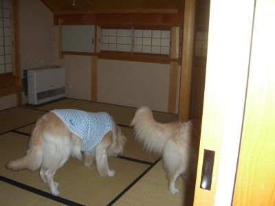 2階和室