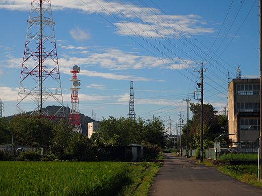 ����ƥ���θ�����ƻ