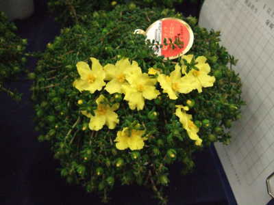 その2