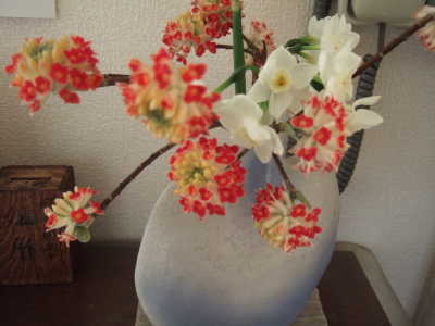 お花
