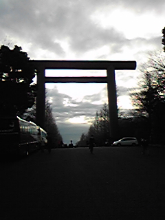 DVC00040.jpg