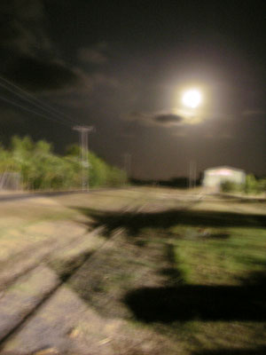 月夜のレース