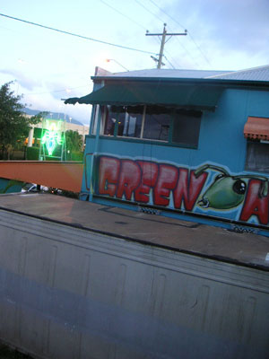 GreenAnt02