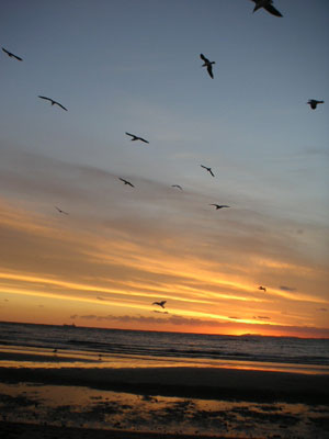 StKildaビーチ