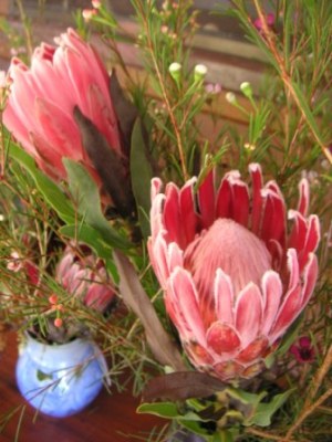 wildflowers