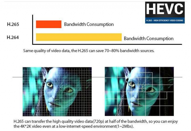 ビデオ h