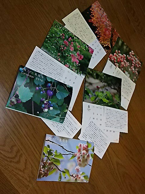 IMG_20161212_203103.jpg