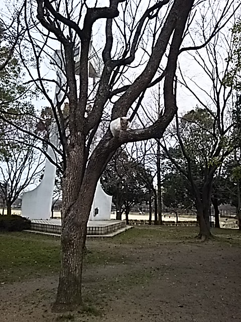 DSC_2028.JPG