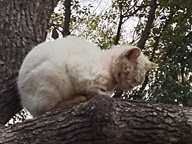 DSC_2031.JPG