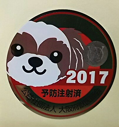 IMG_20170405_145016.jpg