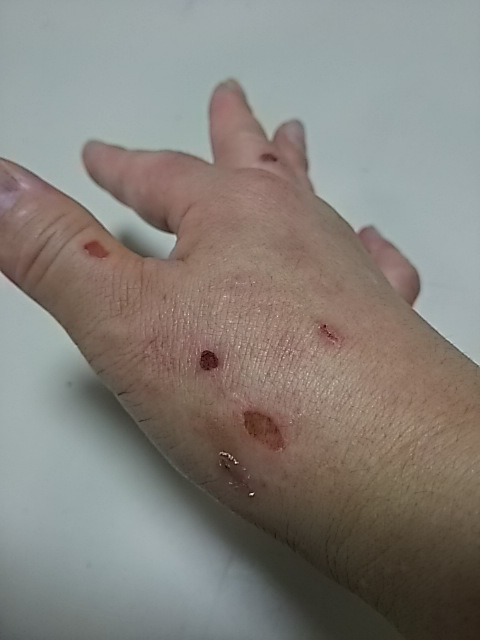 20170601171434.jpg