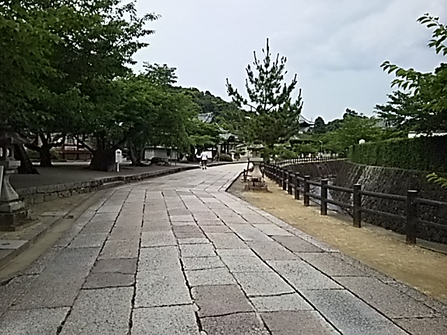 DSC_2247.JPG