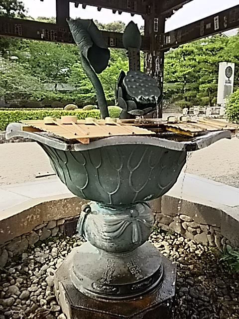 DSC_2250.JPG