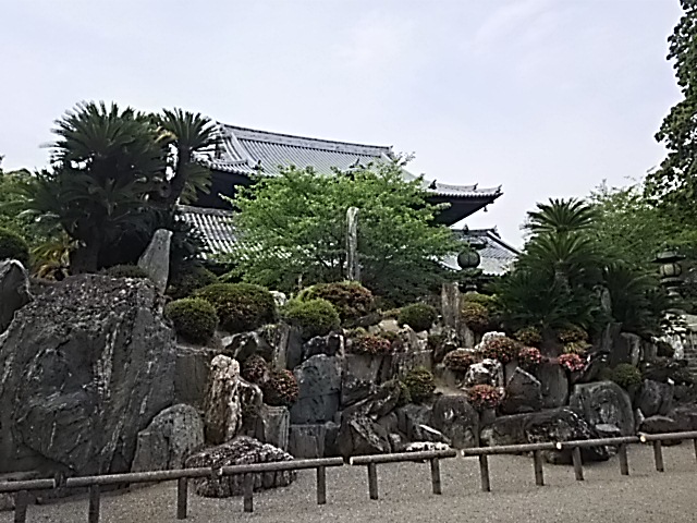 DSC_2260.JPG