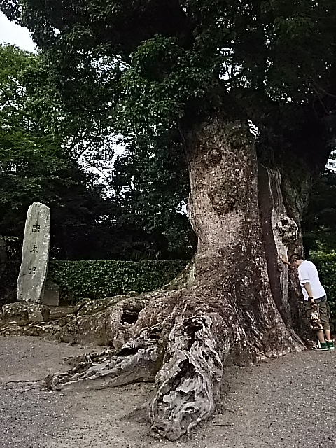 DSC_2254.JPG