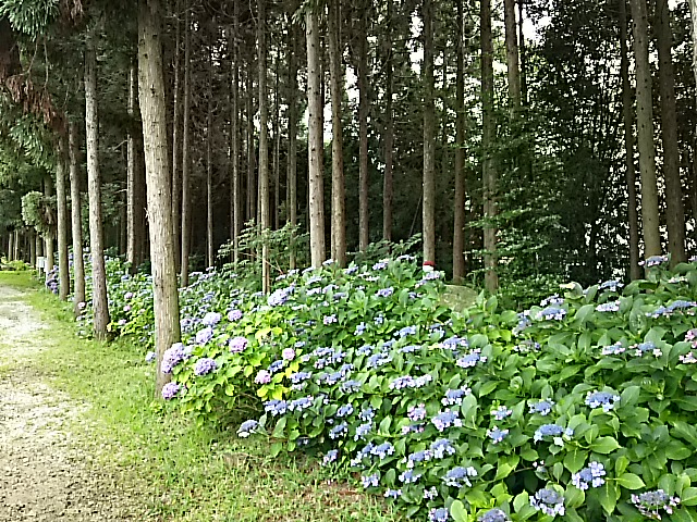 DSC_2280.JPG