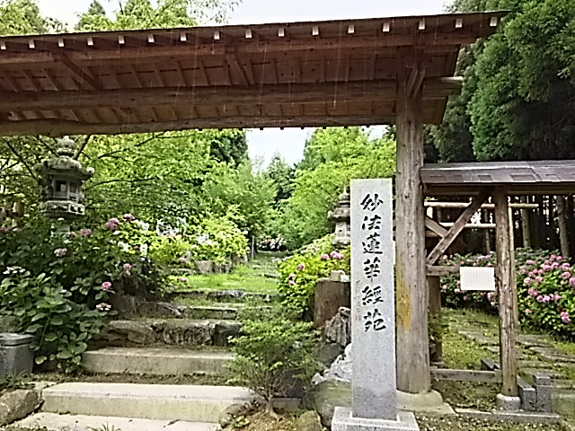 DSC_2281.JPG