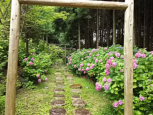 DSC_2282.JPG