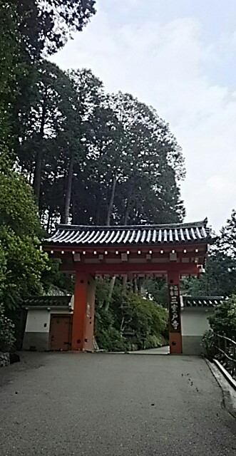 IMG_20170717_184745.jpg