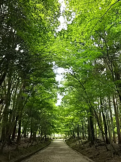 DSC_2310.JPG