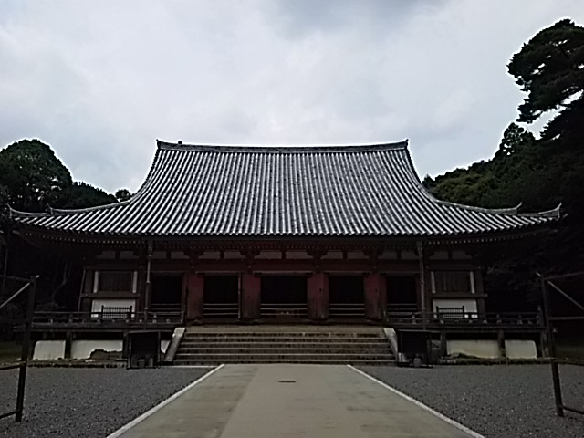 DSC_2311.JPG