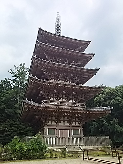 DSC_2315.JPG