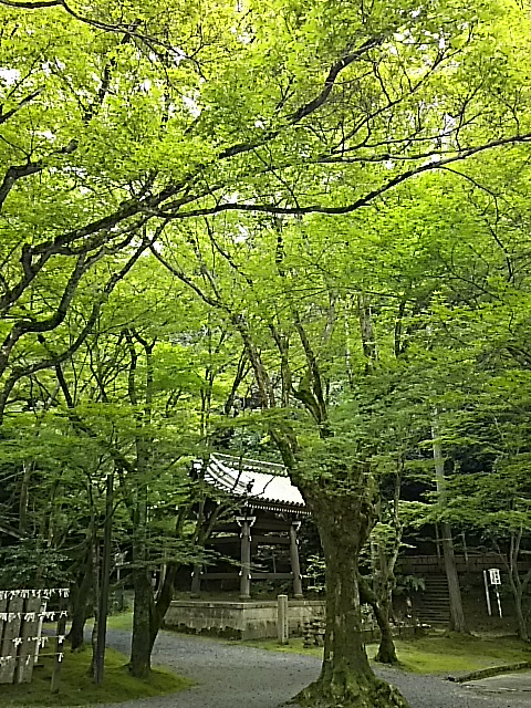 DSC_2316.JPG