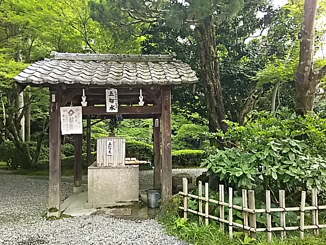 DSC_2323.JPG