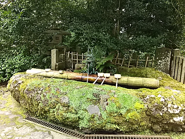 DSC_2302.JPG