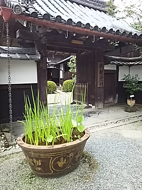 DSC_2341.JPG