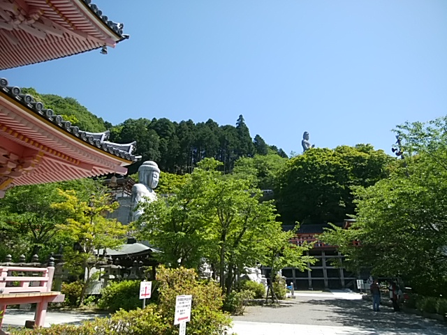 IMG_20180522_134407.jpg