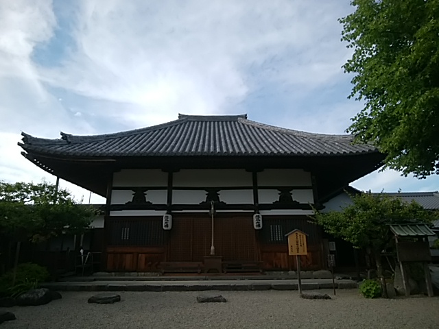 IMG_20180522_160339.jpg