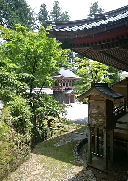 IMG_20180702_090010.jpg