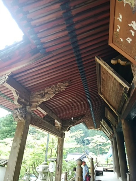 IMG_20180702_085829.jpg