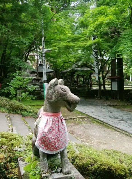 IMG_20180702_085654.jpg
