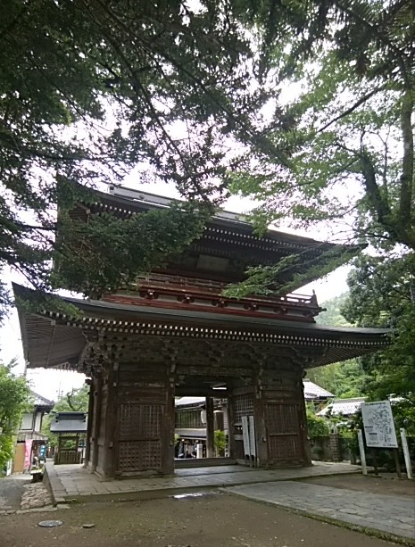 IMG_20180702_085613.jpg