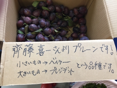 ¼Ì¿¿ 2017-09-30 14 08 05.jpg