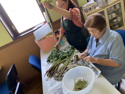 写真 2019-07-09 10 38 11.jpg