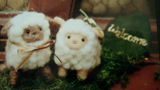 2012021617090000.jpg