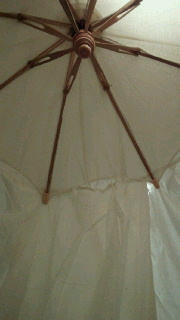 2012022516380000.jpg
