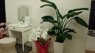 2012032616580001.jpg
