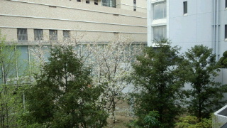 2012041611330002.jpg