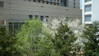 2012041713020000.jpg