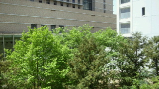 2012042812320000.jpg