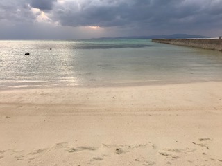 IMG_3342.jpg