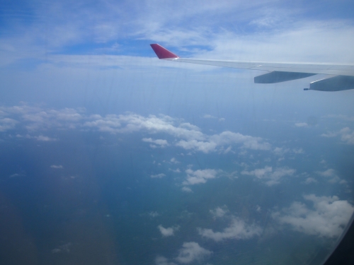P6205832.JPG