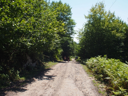 P8010426.JPG