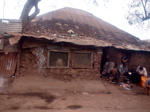 P9063287.JPG