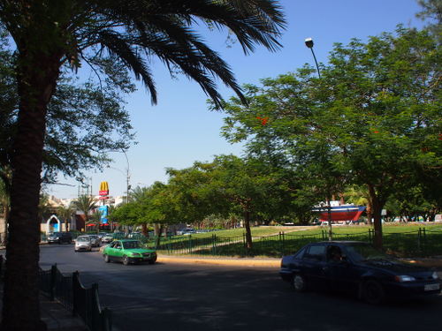 P9163946.JPG